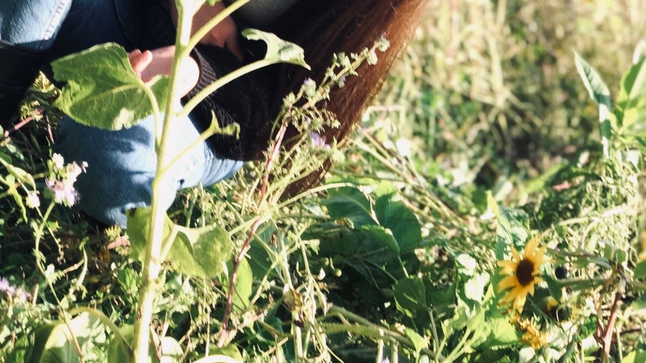 Chiara Köser arbeitet als Tierwirtin der Fachrichtung Imkerei im Fachbereich Bienenkunde bei der Landwirtschaftskammer Nordrhein-Westfalen. Chiara Köser arbeitet als Tierwirtin der Fachrichtung Imkerei im Fachbereich Bienenkunde bei der Landwirtschaftskammer Nordrhein-Westfalen.