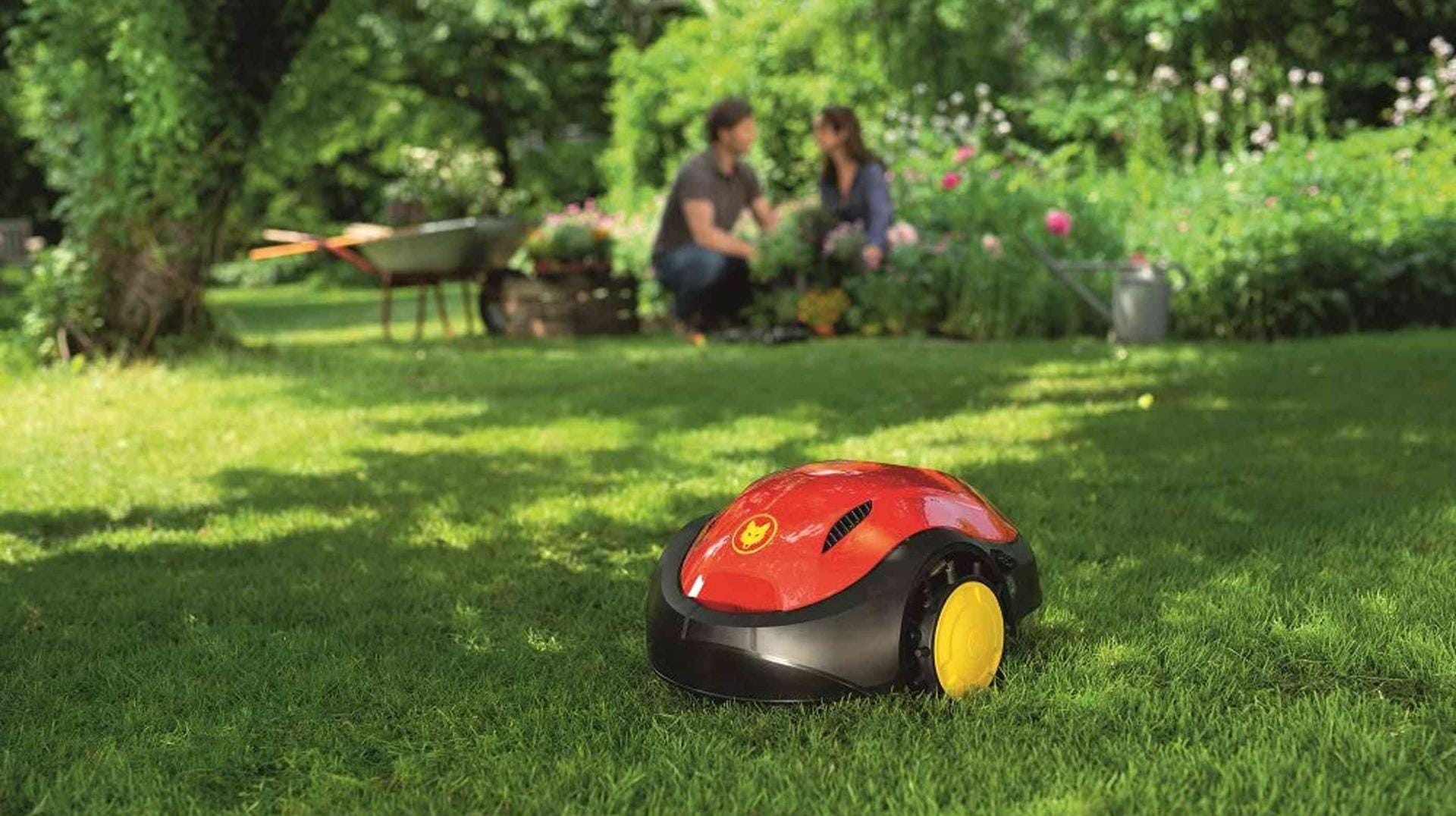 Mähroboter kümmern sich automatisch um den Rasenschnitt: Sparen Sie heute bei einem Modell von Wolf Garten 120 Euro!