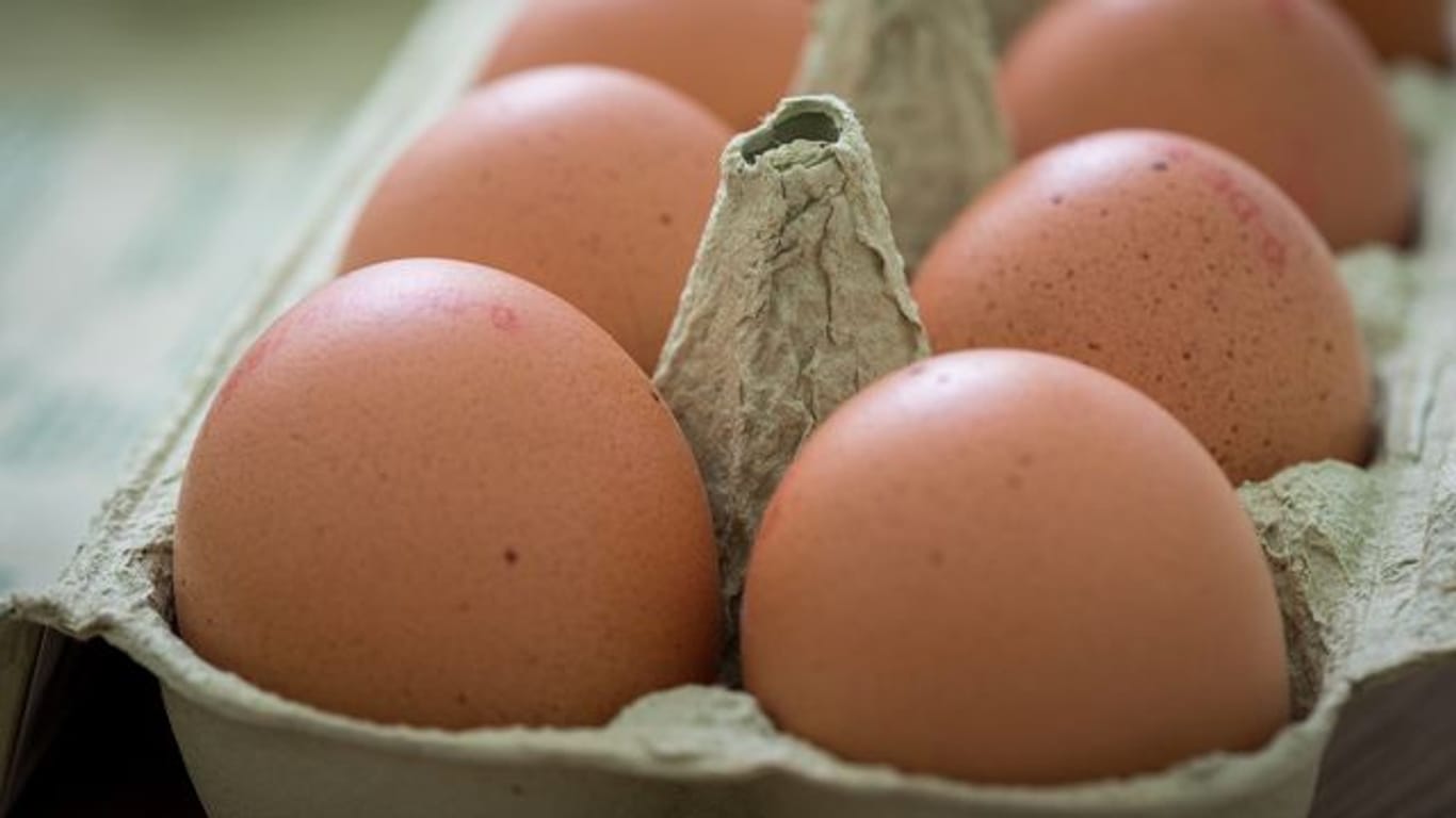 Nach dem Kauf sollten Eier direkt in den Kühlschrank - allerdings nicht in die Türfächer.