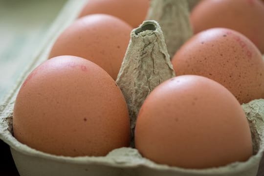 Nach dem Kauf sollten Eier direkt in den Kühlschrank - allerdings nicht in die Türfächer.