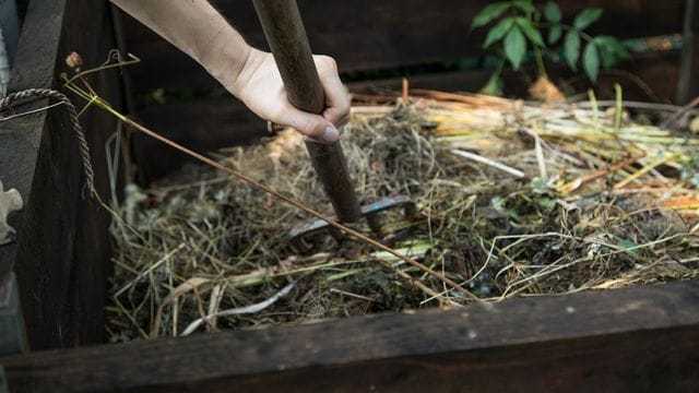 Im Komposthaufen verrotten Pflanzenreste und werden zu wertvollem Dünger.