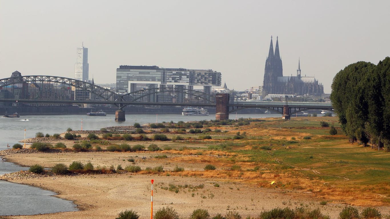 Das ausgetrocknete Flussbett des Rhein an den Poller Auen (Archivbild): Die Tage, an denen es über 30 Grad hat, haben in der Domstadt stark zugenommen.