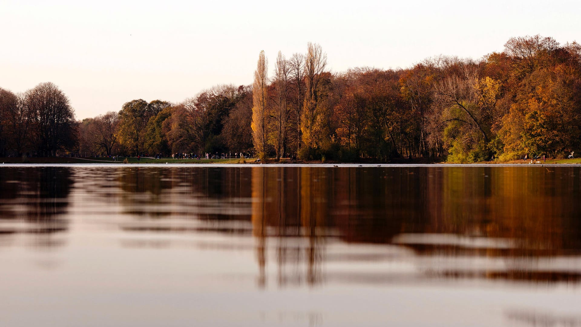 Decksteiner Weiher: Der Kölner Grüngürtel ist groß – doch die versiegelten Flächen in der Innenstadt sind das eigentliche Problem.