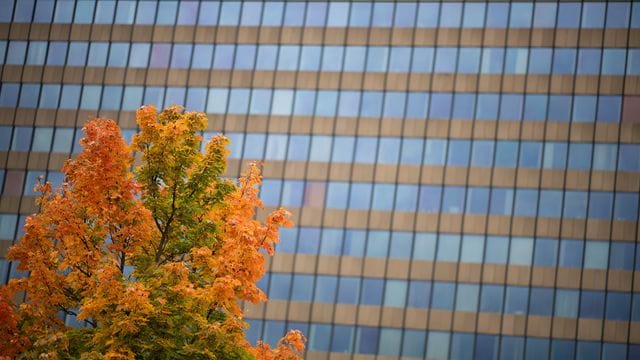 Herbst in Rheinland-Pfalz