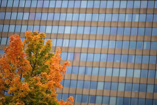 Herbst in Rheinland-Pfalz