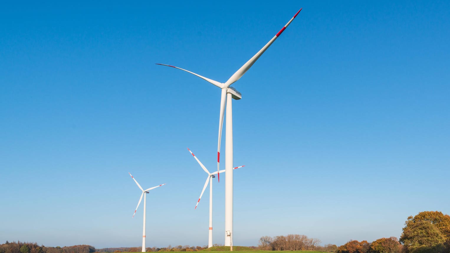 Ein Windpark auf einem Feld in Schleswig-Holstein (Symbolbild): Die EEG-Umlage soll den Ausbau der erneuerbaren Energien finanzieren.