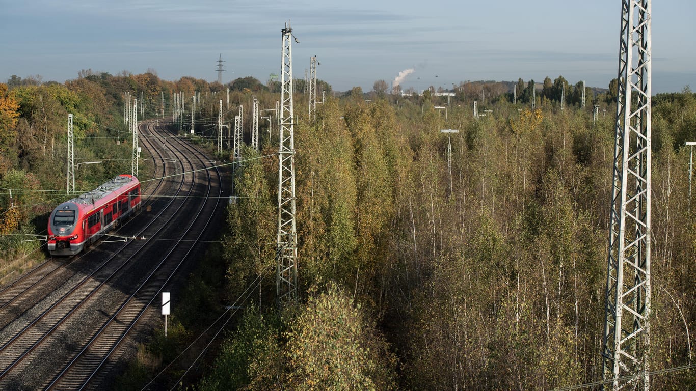 Birken verdecken den Blick auf die überwachsenen Gleise auf dem Gelände des alten Güterbahnhofs Westfalia: In Dortmund soll ein neues ICE-Werk entstehen.