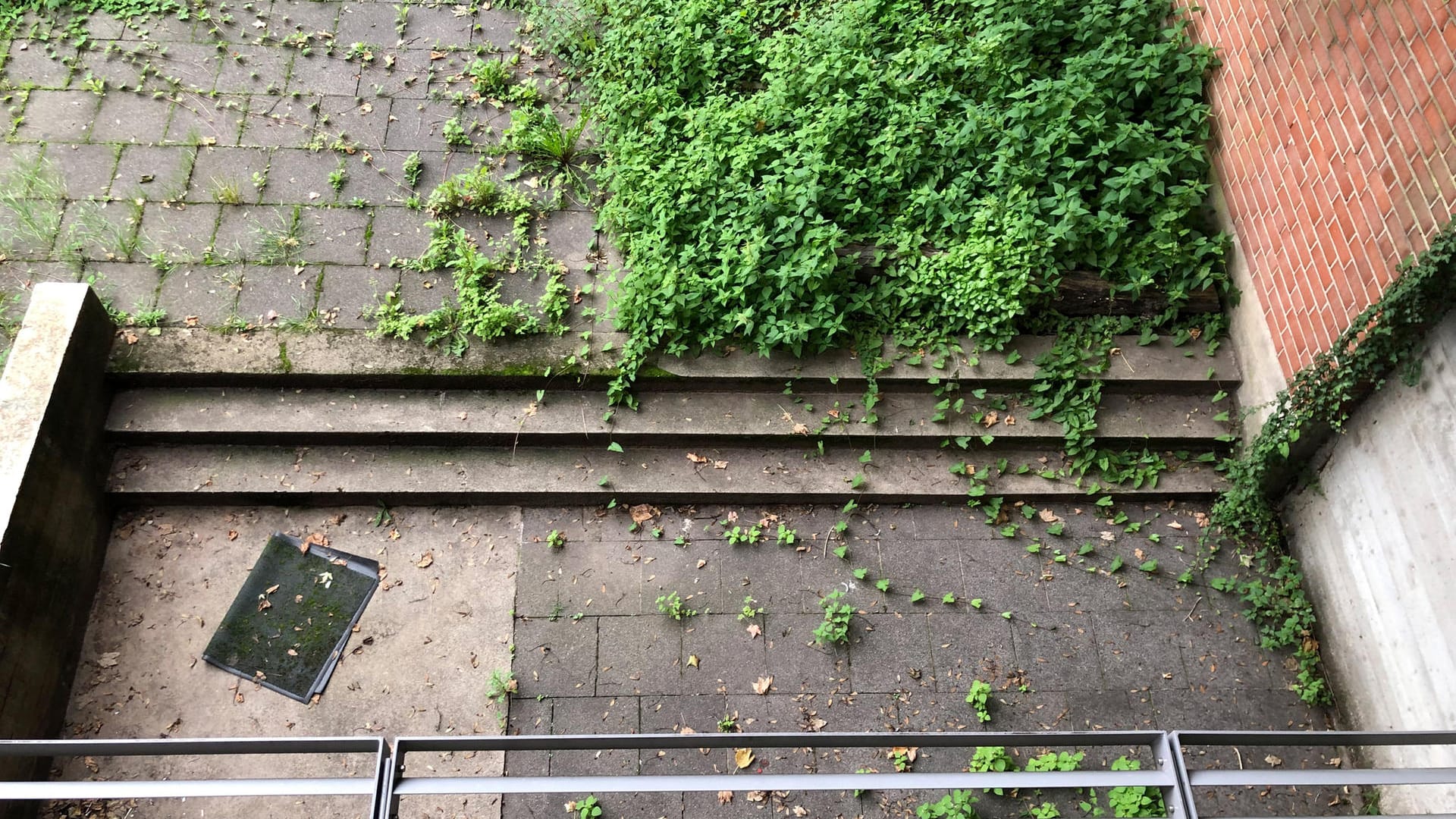 Bei geöffnetem Fenster ist die Gefahr groß, dass eines der Förderschulkinder in die Tiefe stürzt: Dabei sollen wegen der anhaltenden Corona-Lage die Klassenzimmer regelmäßig belüftet werden.