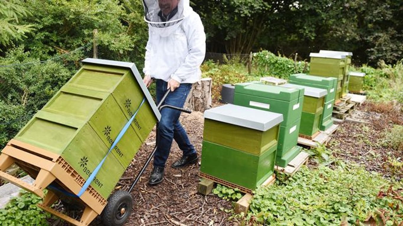 Dieter Schimanski von der Firma "Bee-Rent" - zu seinen Kunden zählen vor allem Unternehmen, die den Honig etwa zu Werbezwecken nutzen.