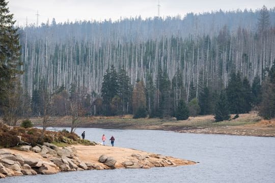 Herbst im Nationalpark Harz: Während des Sturms sollte auf Waldbesuche verzichtet werden.