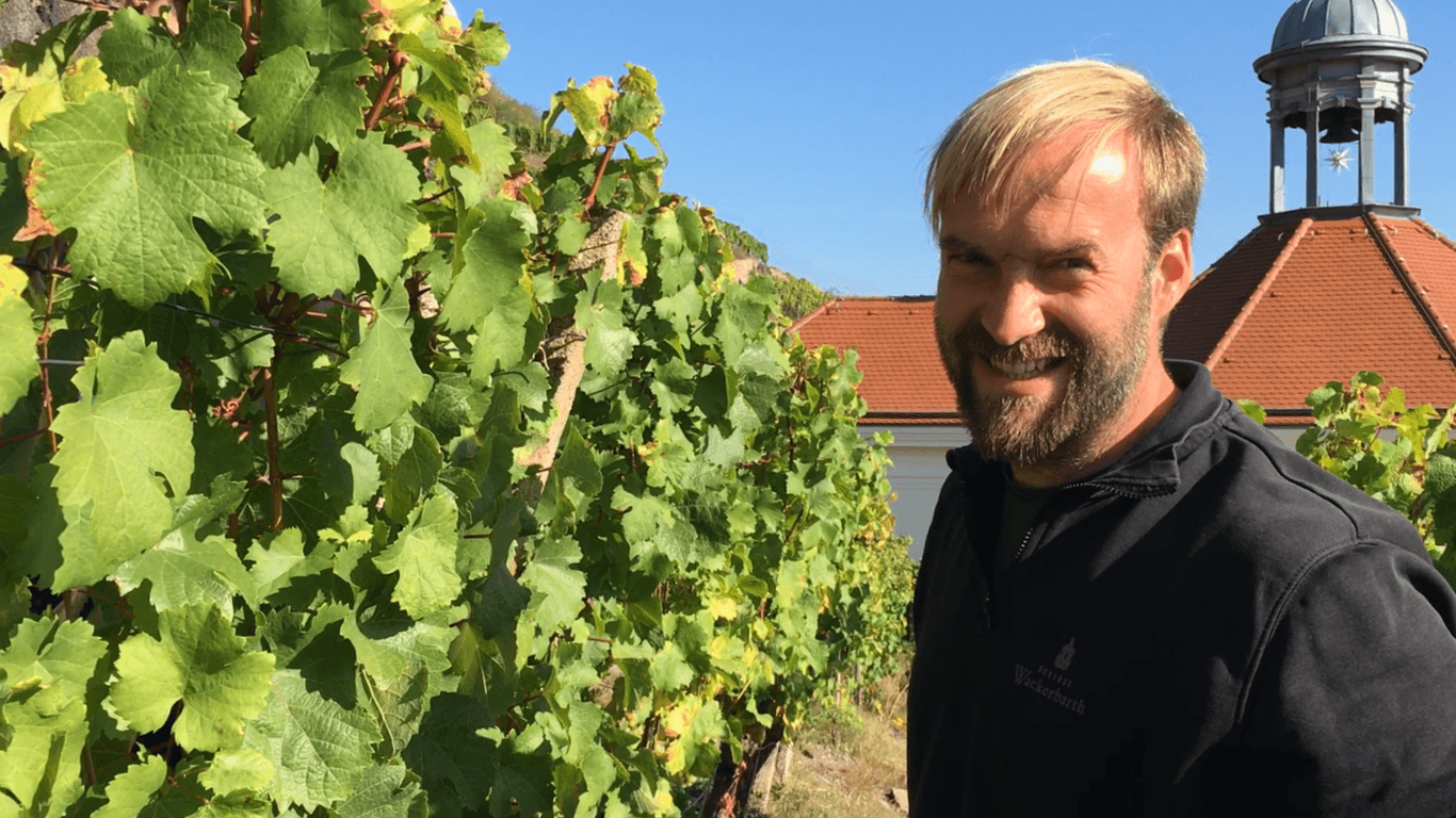 Till Neumeister: Als Weinbauleiter kümmert er sich um die 92 Hektar Reben von Schloss Wackerbarth. Zu seinen Aufgaben zählt neben Anbau und Pflege der Pflanzen auch die strategische Ausrichtung des Weinguts bei der Anpassung an den Klimawandel.