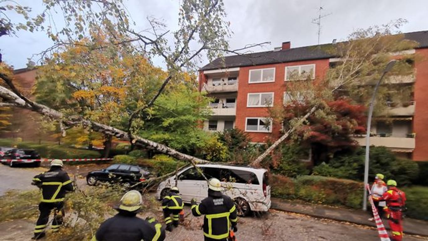 Feuerwehrmänner stehen vor zwei umgestürzten Bäumen im Hamburger Stadtteil Ohlsdorf: Das Sturmtief "Ignatz" wütet auch im Norden.