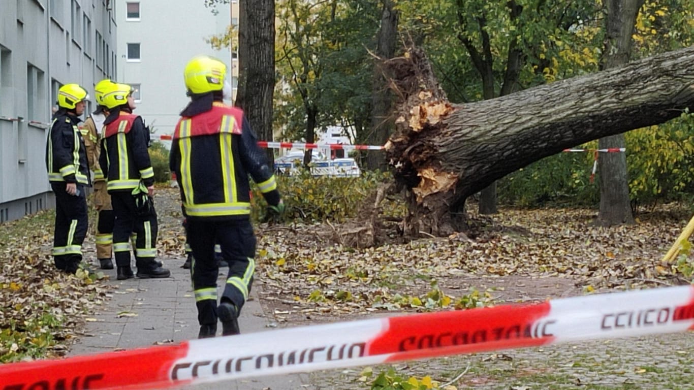 Feuerwehrleute stehen neben einem umgestürzten Baum: Sturm "Ignatz" sorgt in der Hauptstadt für Hunderte Einsätze.