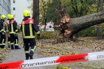 Feuerwehrleute stehen neben einem umgestürzten Baum: Sturm "Ignatz" sorgt in der Hauptstadt für Hunderte Einsätze.