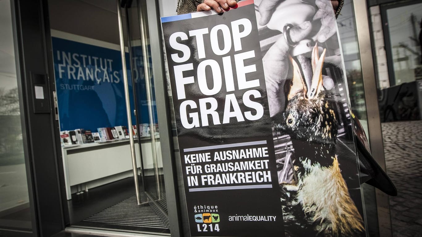 Tierschützer demonstrieren gegen die Herstellung von Gänsestopfleber (Archivbild): In Dortmund wollen sie am Sonntag vor einem Restaurant demonstrieren.