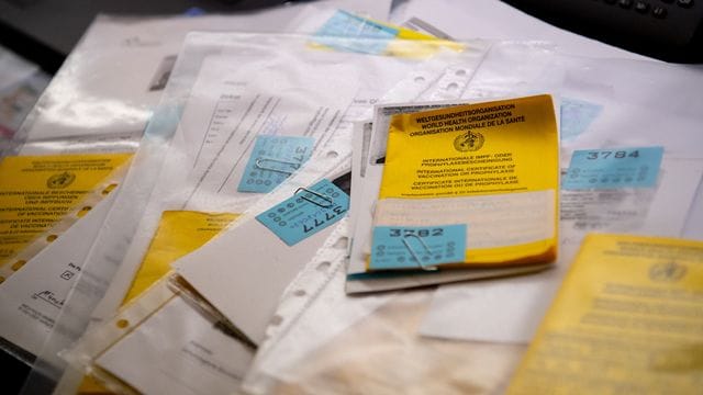 Zahlreiche Impfpässe liegen auf einem Tisch (Symbolbild): Zuletzt ist die Zahl der gefälschten Impfpässe laut Polizei stark angestiegen. Zahlreiche Impfpässe liegen auf einem Tisch (Symbolbild): Zuletzt ist die Zahl der gefälschten Impfpässe laut Polizei stark angestiegen.