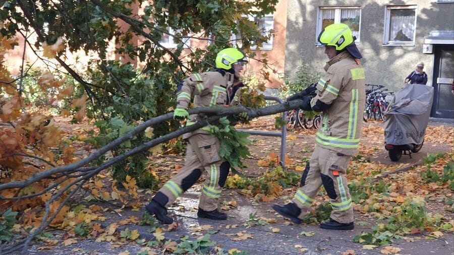 Feuerwehrkräfte schaffen Äste weg: In der ganzen Stadt waren die Kräfte im Einsatz.