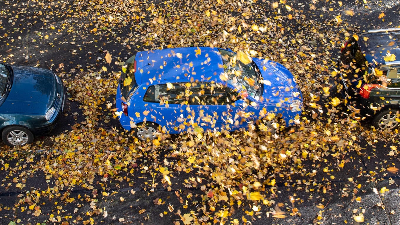 Blätter wehen um ein Auto herum (Archivbild): Am Freitag muss noch mit starken Böen gerechnet werden.