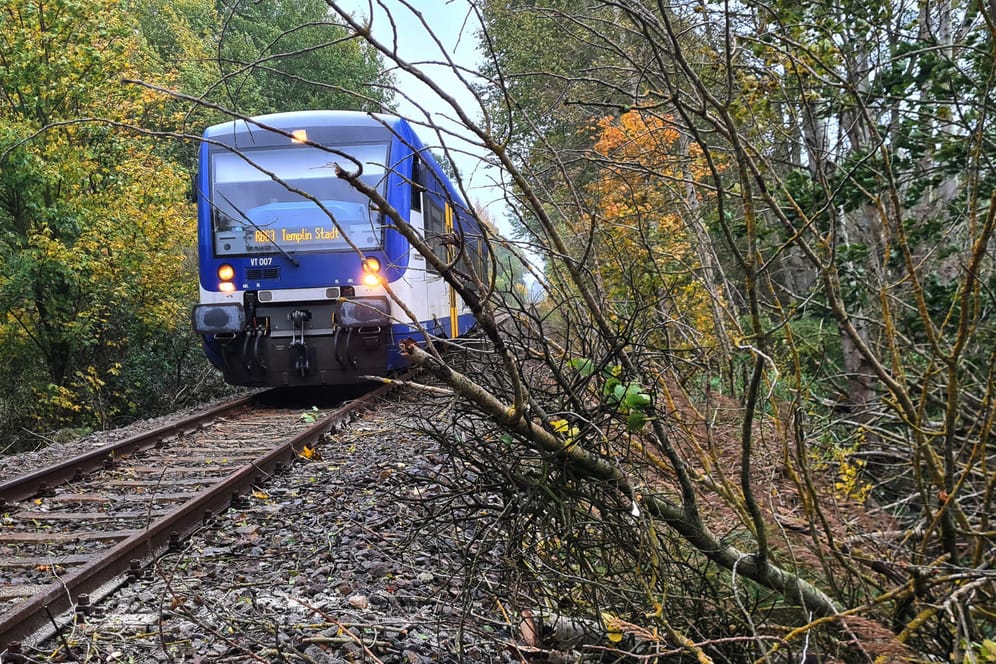 In Brandenburg ist ein Regionalzug zum Stehen gekommen, weil Äste durch den Sturm abgerissen wurden und auf die Schienen gefallen waren: Ein Mann starb bei den Aufräumarbeiten.