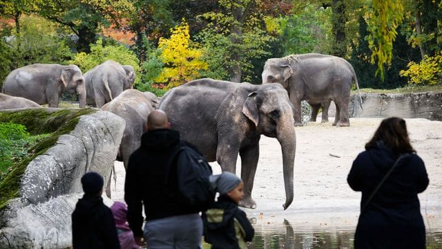 Tierpark Hagenbeck Tierpark Hagenbeck