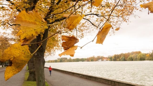 Eine Frau joggt an einem Herbsttag eine Promenade entlang