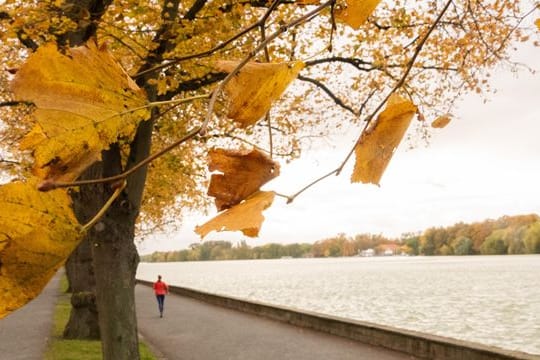 Eine Frau joggt an einem Herbsttag eine Promenade entlang