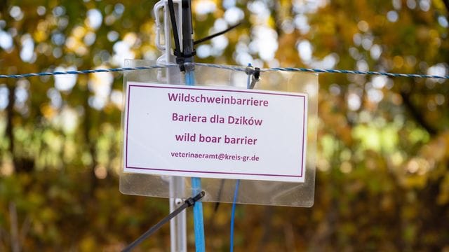 Schild mit der Aufschrift "Wildschweinbarriere"