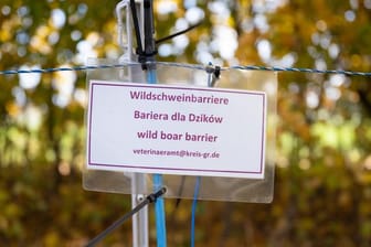 Schild mit der Aufschrift "Wildschweinbarriere"