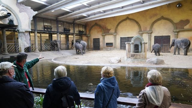 Sören Reichardt (2.v.l), Leiter der Zooschule im Tierpark Hagenbeck, spricht zu Senioren (Archivbild): Der Zoo will älteren Menschen besondere Touren bieten. Sören Reichardt (2.v.l), Leiter der Zooschule im Tierpark Hagenbeck, spricht zu Senioren (Archivbild): Der Zoo will älteren Menschen besondere Touren bieten.