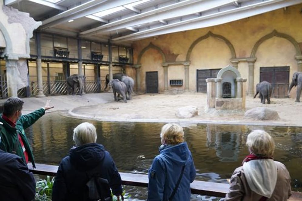 Sören Reichardt (2.v.l), Leiter der Zooschule im Tierpark Hagenbeck, spricht zu Senioren (Archivbild): Der Zoo will älteren Menschen besondere Touren bieten.