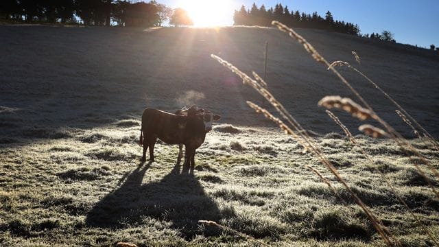 Sonniges Herbstwetter