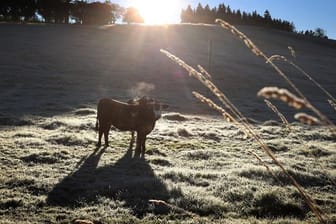 Sonniges Herbstwetter