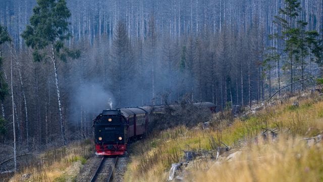 Harzer Schmalspurbahnen