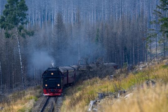 Harzer Schmalspurbahnen