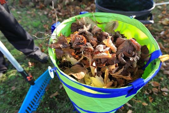 Laub sollte man am besten mit Rechen, Besen, Harke und Schaufel zusammentragen. Laub sollte man am besten mit Rechen, Besen, Harke und Schaufel zusammentragen.