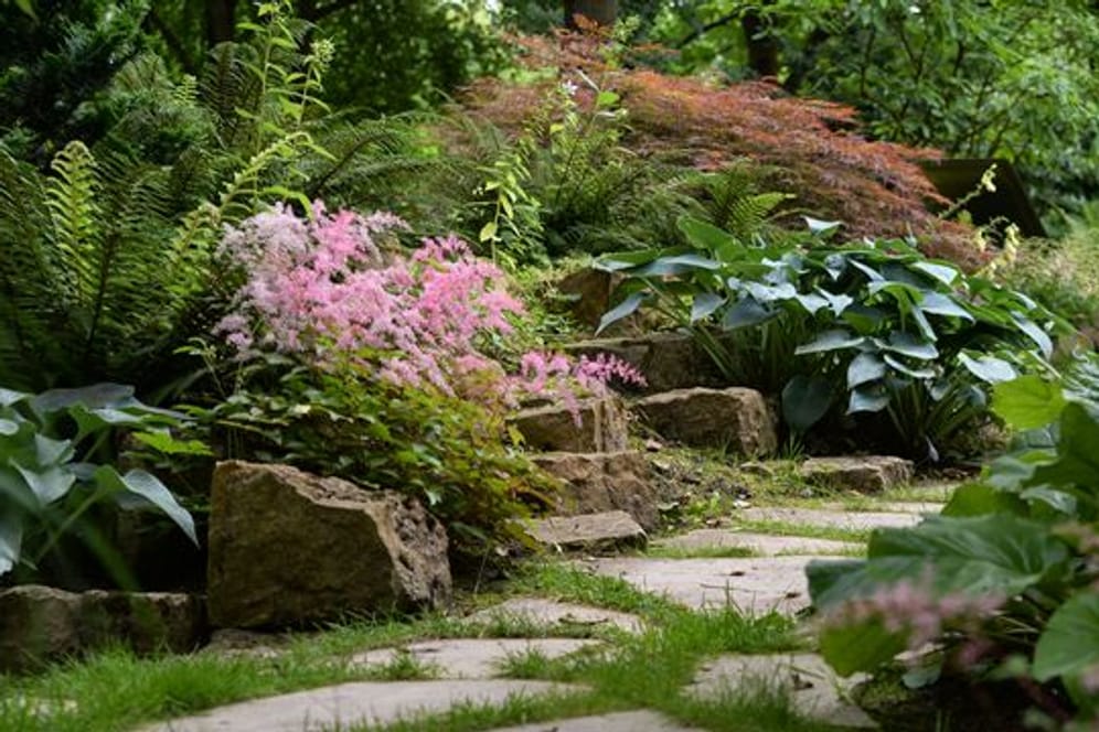 Material und Form passen zum Umfeld: Daran sollten sich Hobbygärtner orientieren, wenn sie einen neuen Gartenweg planen.