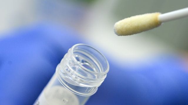 Ein Abstrich für das Testverfahren auf das Coronavirus (Symbolbild): In Hamburg nehmen die Coronazahlen unter den jüngeren Menschen zu. Ein Abstrich für das Testverfahren auf das Coronavirus (Symbolbild): In Hamburg nehmen die Coronazahlen unter den jüngeren Menschen zu.