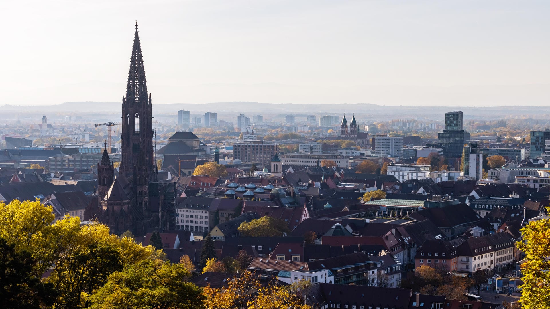 Freiburg: Der Turm des Freiburger Münsters ragt über die Dächer der Innenstadt hinaus.