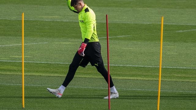 Gregor Kobel