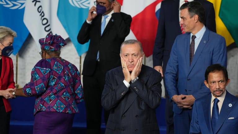 Recep Tayyip Erdoğan: Der türkische Präsident scheint besorgt über das Zusammentreffen mit den Staats- und Regierungschefs der größten Volkswirtschaften der Welt.