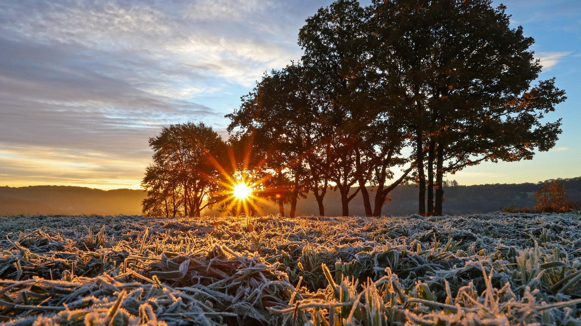 Kalter Herbstmorgen im Siegerland: In der ersten Novemberwoche zieht die Kaltfront von Tief "Nael" über Deutschland hinweg. Kalter Herbstmorgen im Siegerland: In der ersten Novemberwoche zieht die Kaltfront von Tief "Nael" über Deutschland hinweg.