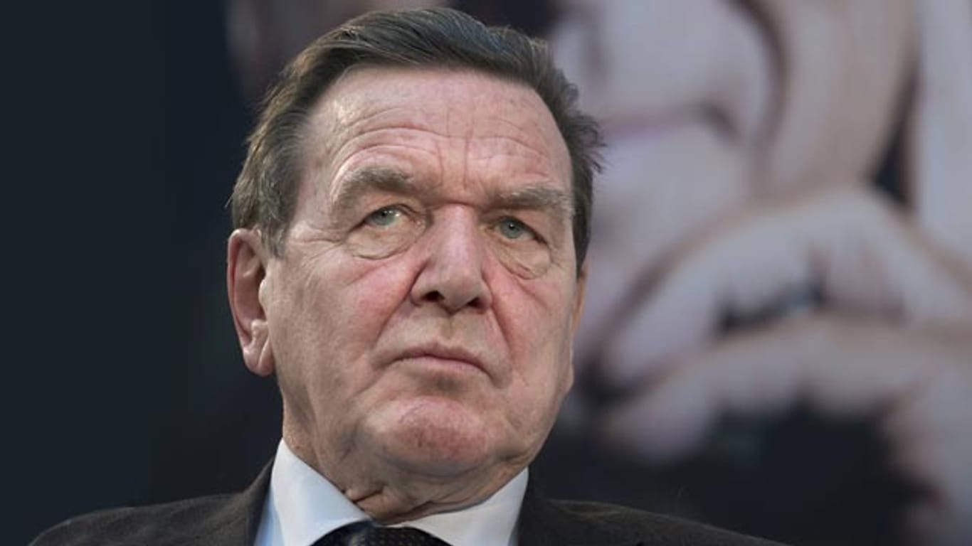 Ex-Kanzler Gerhard Schröder hat bereits einen Spitzenposten beim Pipeline-Betreiber Nord Stream