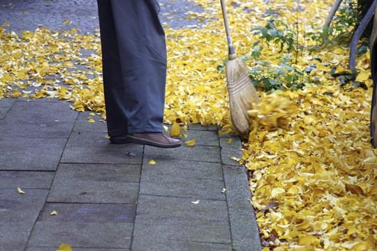 Laub wird von einem Gehweg gefegt: Wer nicht regelmäßig Laub kehrt, muss unter Umständen zahlen.