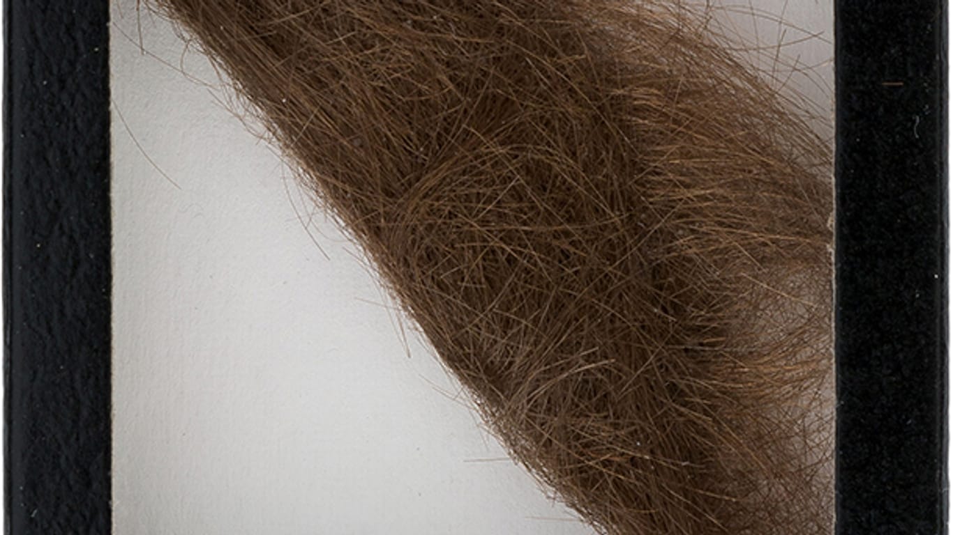 John Lennons zehn Zentimeter lange Haarlocke wurde für 31.000 Euro ersteigert.