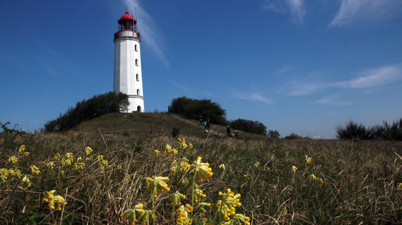 Der Leuchtturm auf dem Dornbusch ist als Wahrzeichen der Insel Hiddensee bekannt. Sein Licht strahlt etwa 45 km hinaus und dient der Küstenschifffahrt als wichtige Orientierung.