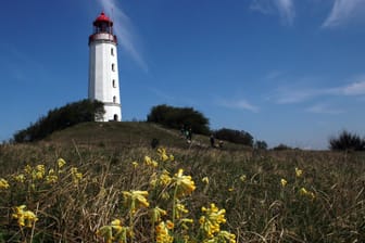 Der Leuchtturm auf dem Dornbusch ist als Wahrzeichen der Insel Hiddensee bekannt. Sein Licht strahlt etwa 45 km hinaus und dient der Küstenschifffahrt als wichtige Orientierung.