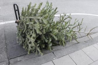 Weihnachtsbaum, danach, auf der Strasse