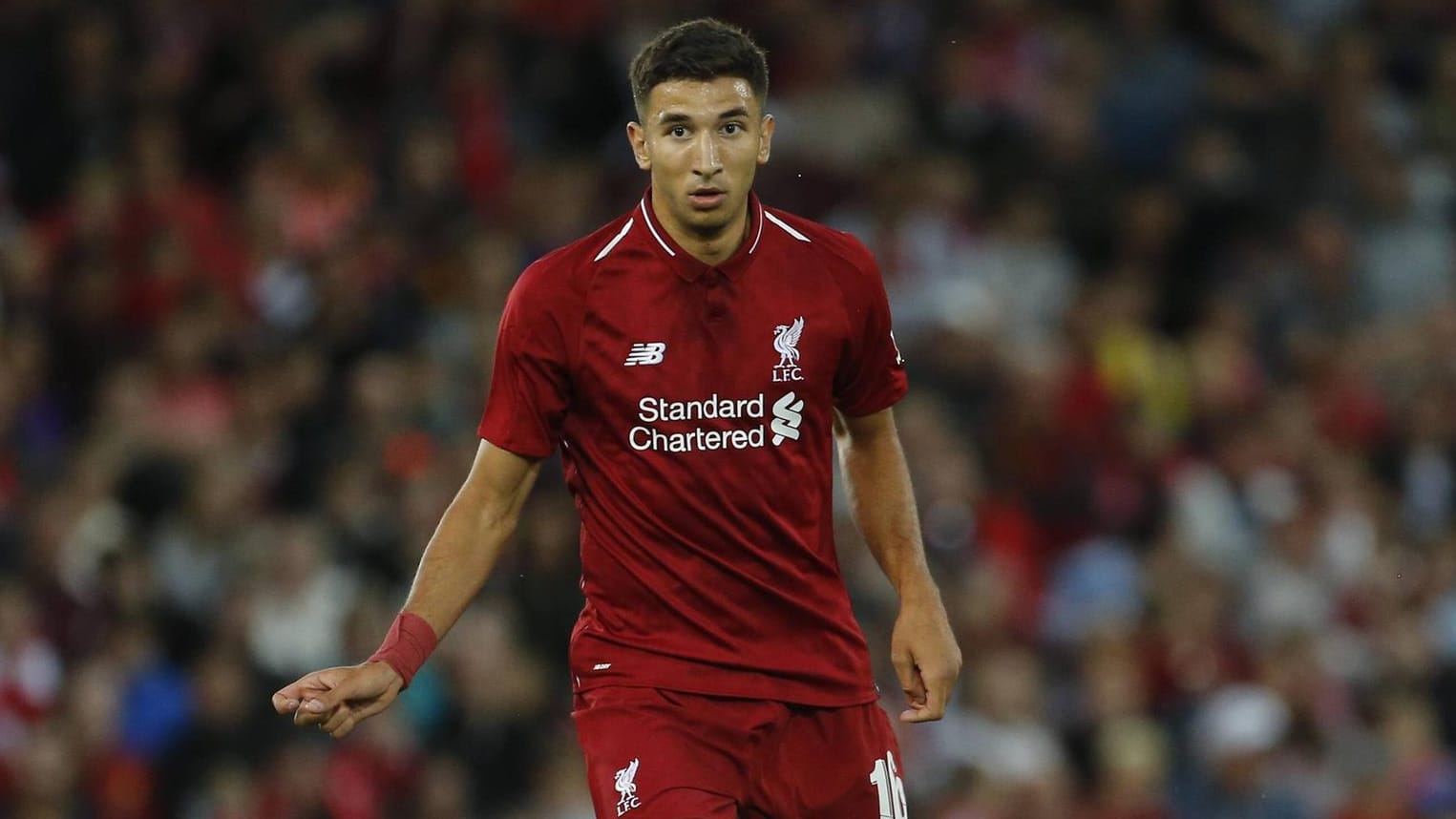 Von Liverpool nach Berlin: Marko Grujic.