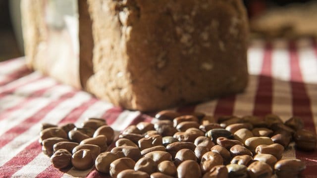 Feuchtigkeitsspender: Die Rheinische Ackerbohne sorgt im Dinkelbrot dafür, dass es besonders lange frisch bleibt.