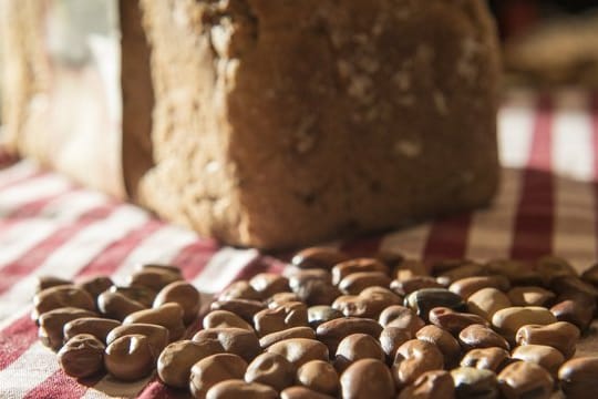 Feuchtigkeitsspender: Die Rheinische Ackerbohne sorgt im Dinkelbrot dafür, dass es besonders lange frisch bleibt.